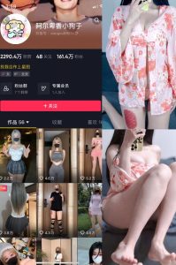 阿尔卑香小狗子维密作品合集的魅力与魔法-布玛社